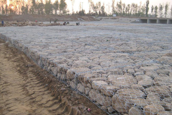 雙隔板雷諾護(hù)墊 雙隔板雷諾護(hù)墊